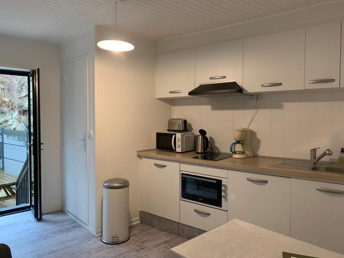 Appartement 4 Personnes, 1 Chambre, Terrasse, Wifi, Proche Du Centre La Bourboule Eksteriør bilde